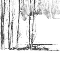 Minimal nture