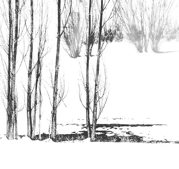 Minimal nture