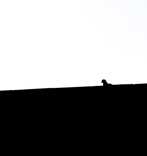 Minimal
