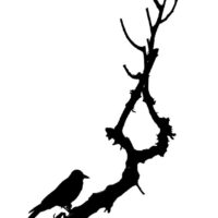 Minimal