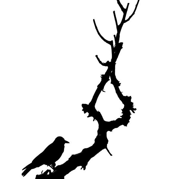 Minimal