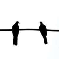 Minimal