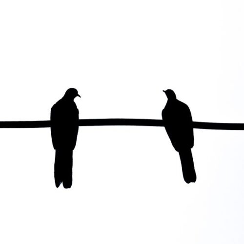 Minimal