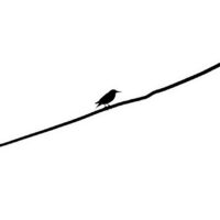 Minimal