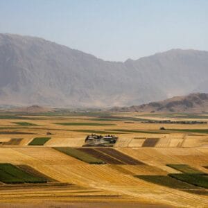 Photography nature Rooin Sharifi