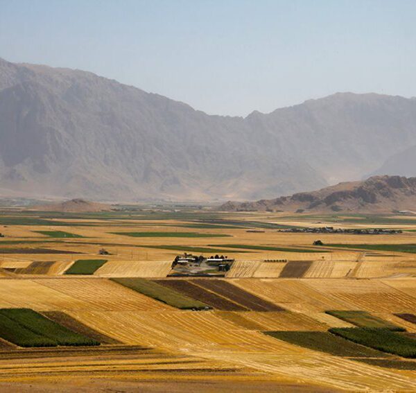 Photography nature Rooin Sharifi