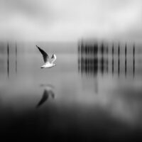 Minimal Photographer Nader Sharifi