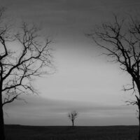 Minimal Photographer Nader Sharifi
