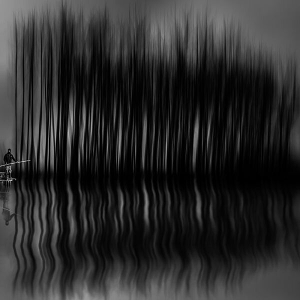 Minimal Nature Bnw Photographer Nader Sharifi