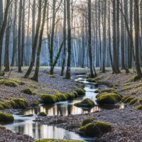 Color Nature Photos