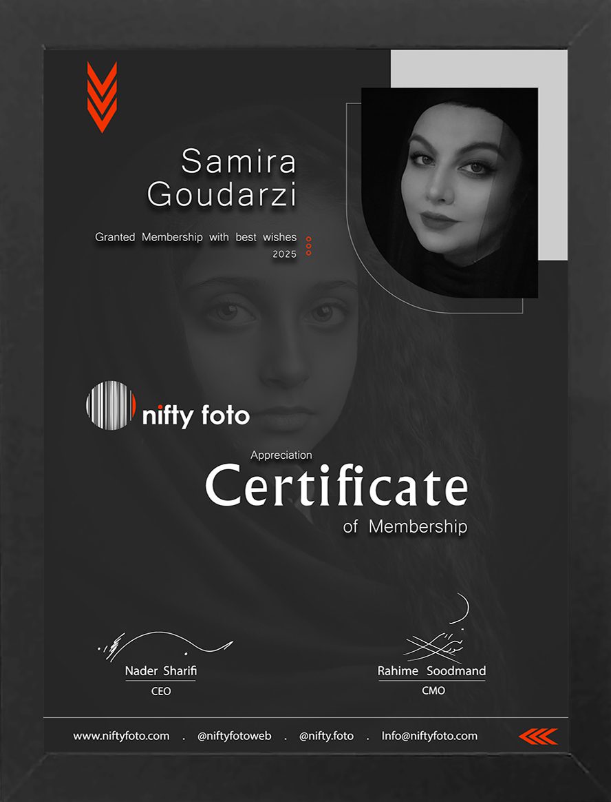Certificate-Samira Goudarzi