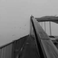 Dream of Passing, Photographer Samira Goudarzi