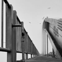Pass, Photographer Samira Goudarzi