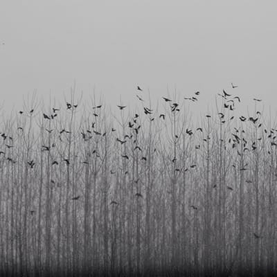 Minimal Photo by Ava Nodeh