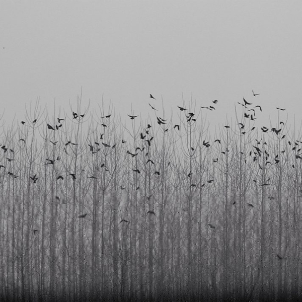 Minimal Photo by Ava Nodeh