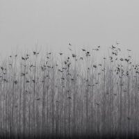 Minimal Photo by Ava Nodeh