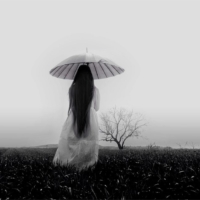 Minimal Photo by Ava Nodeh