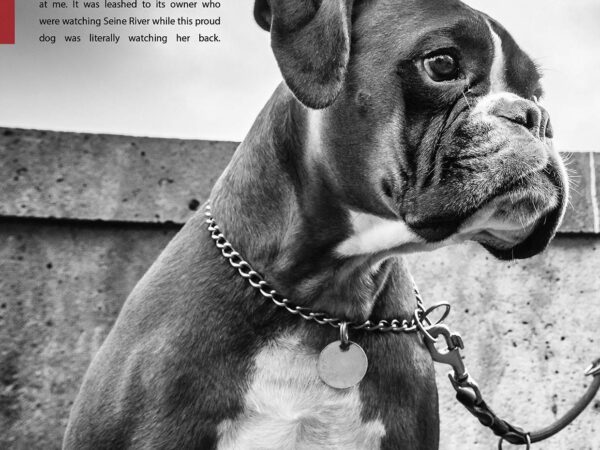 Gobo Magazine-Issue1