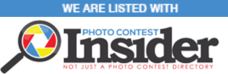 Insider Logo