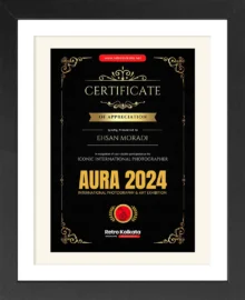 Certificate 6