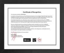 Certificate 2