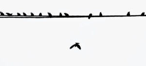 mohammad.alizadegan